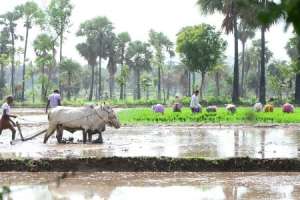 Telangana enters a golden era with farmers’ support programs
