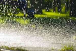 Today, Telugu States to experience light to moderate rainfall.