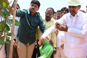 Under the Green India Challenge, KCR plants a sapling.