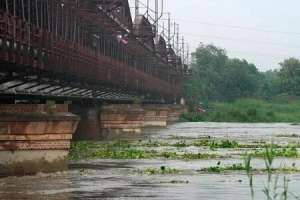 AAP urges for public disclosure of Hathinikund water data