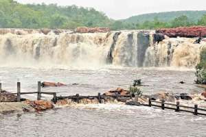 Bogatha Festival: A Spectacular Celebration