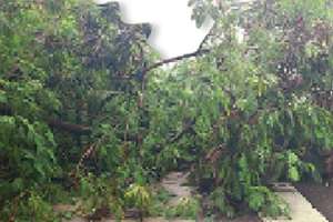 City of Hyderabad Experiences Severe Rainfall