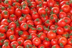 Discounted Tomato Sales to be Offered by Centre in Delhi and Other Cities