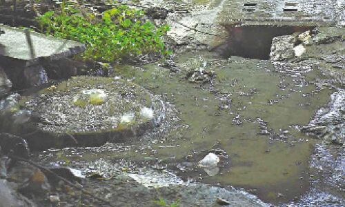 GHMC officials take prompt action as Hyderabad experiences light to moderate rainfall