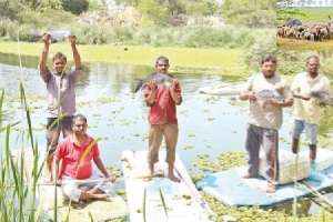 Government’s utmost focus on agriculture to fulfill Gandhiji’s vision of ‘Gram Swaraj’