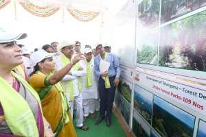 Haritha Haram in Telangana: A Blessing for Generations to Come