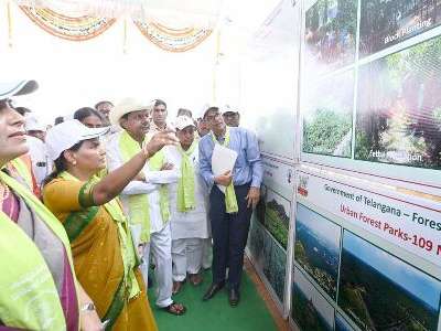Haritha Haram in Telangana: A Blessing for Generations to Come
