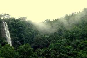 Heavy Rains and Enchanting Waterfalls Transform Ananthagiri Hills into “Telangana’s Ooty”