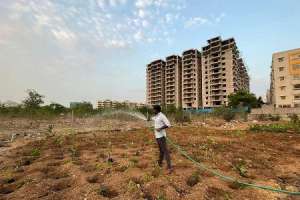 Hyderabad NGO Takes Initiative to Enhance Green Cover with Urban Forests