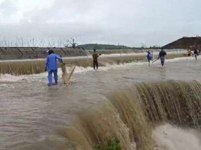 Karimnagar experiences heavy rainfall, water projects reach maximum capacity