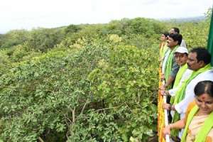 Kondagattu forest area experiences a significant green initiative