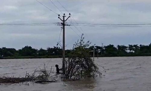 Lineman’s bold action brings light to darkness
