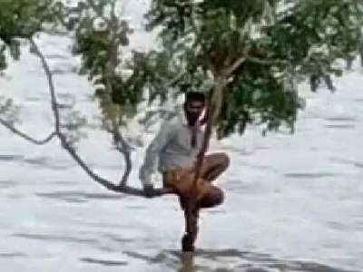 Man in Khammam waits on top of tree for three hours to escape floods