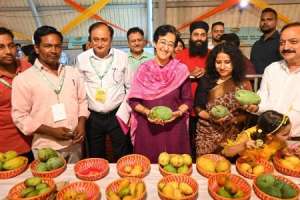 Mango Festival to be Hosted by Delhi Government at Dilli Haat, Janakpuri