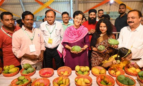 Mango Festival to be Hosted by Delhi Government at Dilli Haat, Janakpuri