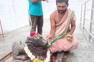 Nandiswara Spotted Drinking Water at Anantagiri Shiva Temple in Attapur