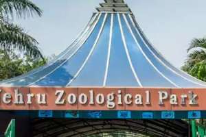 Nehru Zoo Park in Hyderabad to Host Two-Day Fun Activities