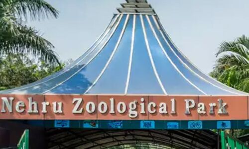 Nehru Zoo Park in Hyderabad to Host Two-Day Fun Activities