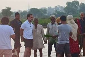 Rahul engages with farmers in Sonipat, cultivates paddy