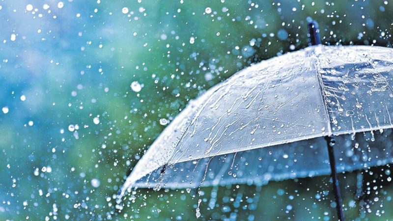 TS Weather | Heavy rainfall expected in the state for two days