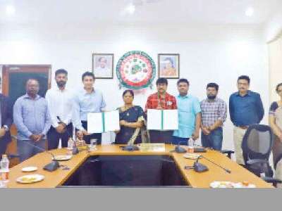V-C suggests farmers improve cultivation techniques to enhance crop quality