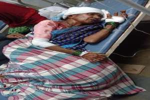 Anganwadi staff in Raipolu village face a brutal assault by monkeys