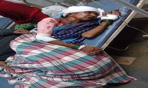 Anganwadi staff in Raipolu village face a brutal assault by monkeys