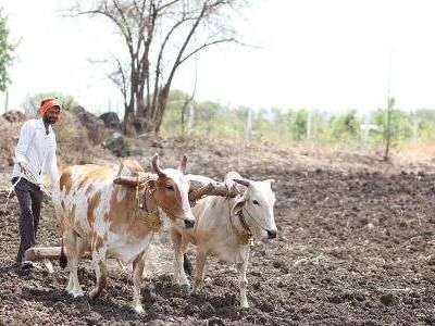Challenges Farmers Encounter in Mutation Process