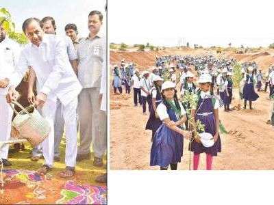 Chief Minister KCR to inaugurate initiative of planting 100 million saplings tomorrow