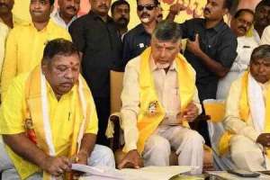 Concerns arise over vote division as TDP enters election race