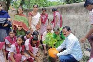 Devarkadra MPDO emphasizes that planting trees is the responsibility of every citizen