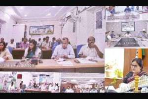 District Collectors instructed to finish plantation campaign by second week of September