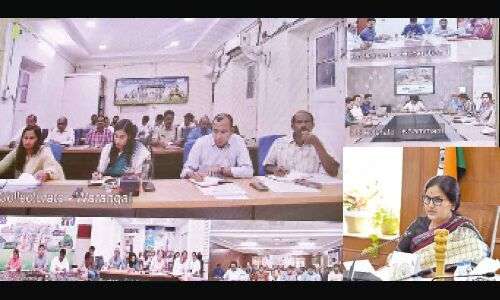 District Collectors instructed to finish plantation campaign by second week of September