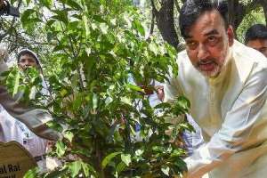 Fourth Van Mahotsav inaugurated by Delhi’s Environment Minister