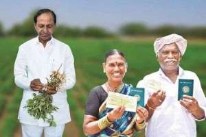 From Barren Land to Rice Bowl: Telangana Emerges as Nation’s Key Rice Producer