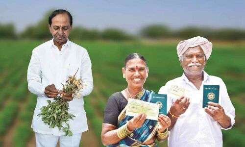 From Barren Land to Rice Bowl: Telangana Emerges as Nation’s Key Rice Producer