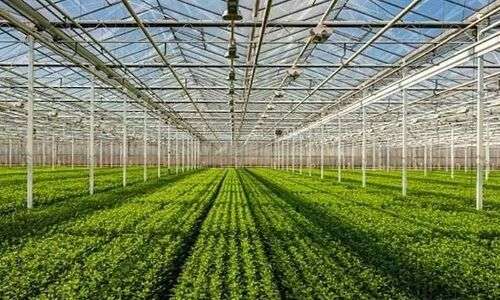 Israel’s horticulture industry sets an example to follow