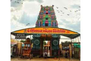 Jogulamba temple employee faces suspension as VHP raises concerns