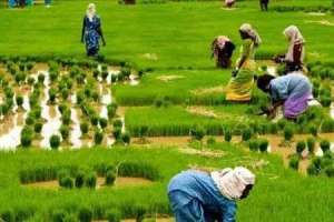 Officials in Nalgonda district receive training for agriculture census