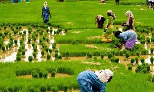 Officials in Nalgonda district receive training for agriculture census