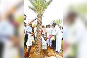 Palamuru Aims to Plant 5.5 Million Saplings