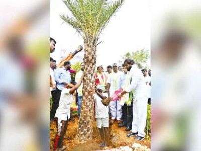 Palamuru Aims to Plant 5.5 Million Saplings