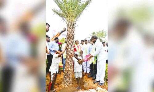 Palamuru Aims to Plant 5.5 Million Saplings