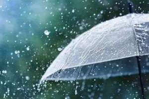 Rainfall to resume in Telugu states during the first week of September