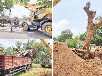 SCCL’s Green Initiative in Khammam Protects Trees from Being Cut Down