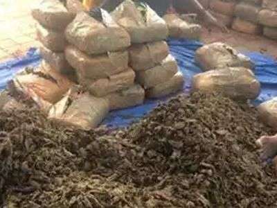 Six individuals involved in smuggling ganja apprehended by TSNAB