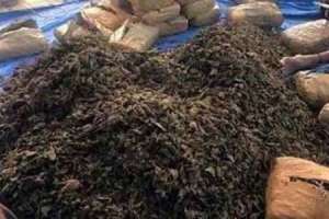 Three individuals involved in ganja smuggling apprehended by TSNAB