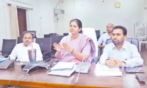Collector Ila Tripathi urges thorough review of voters list to eliminate errors