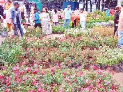 Hyderabad’s Nursery Mela Reconnects People with Nature at Necklace Road