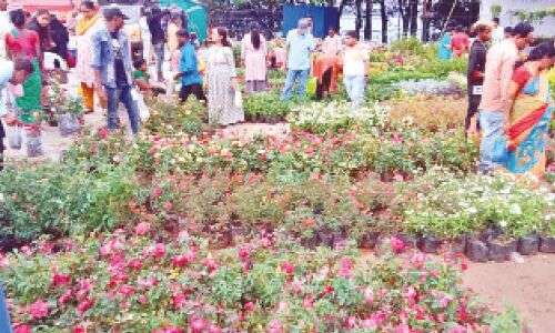 Hyderabad’s Nursery Mela Reconnects People with Nature at Necklace Road